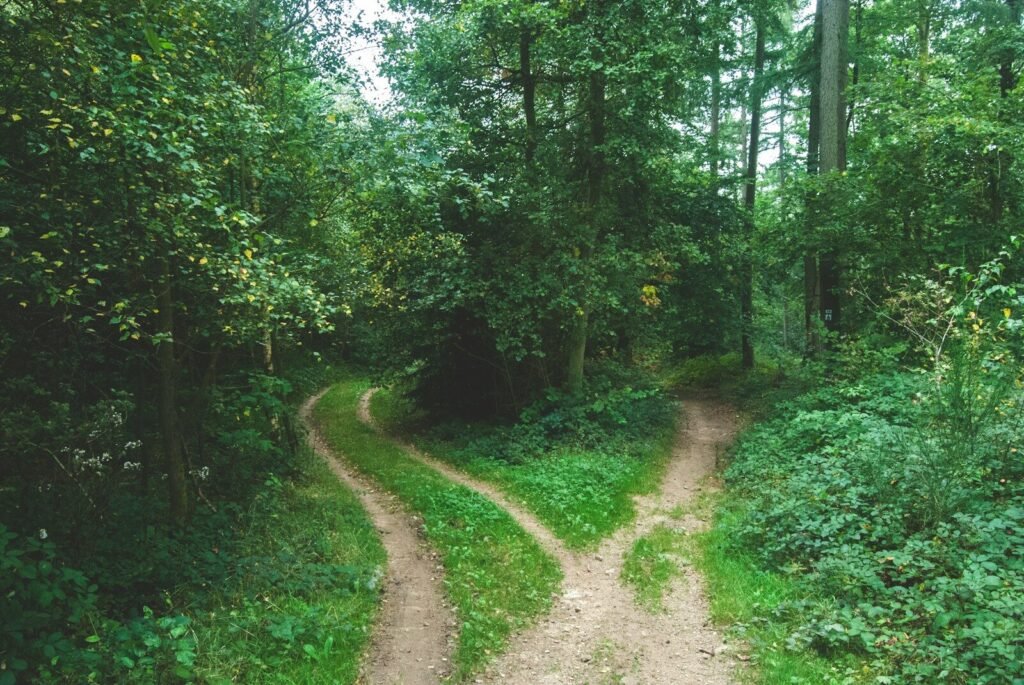 Choosing between Mailchimp alternatives by pricing model